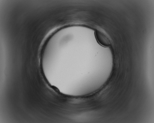 X0000086801416200705041559