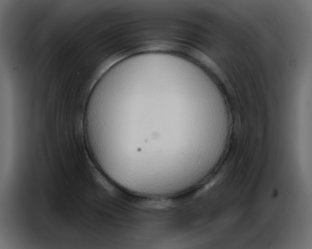 X0000086801417200705041559