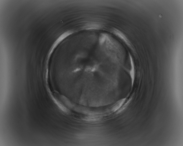 X0000086801418200705041559