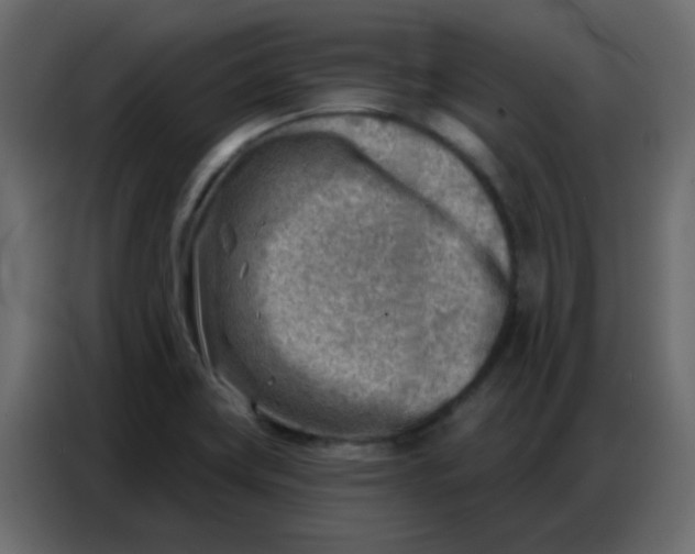 X0000086801419200705041559