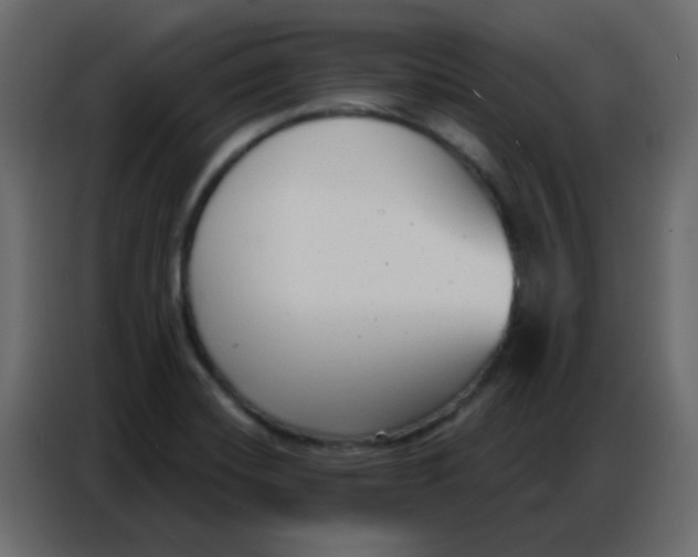 X0000086801420200705041559