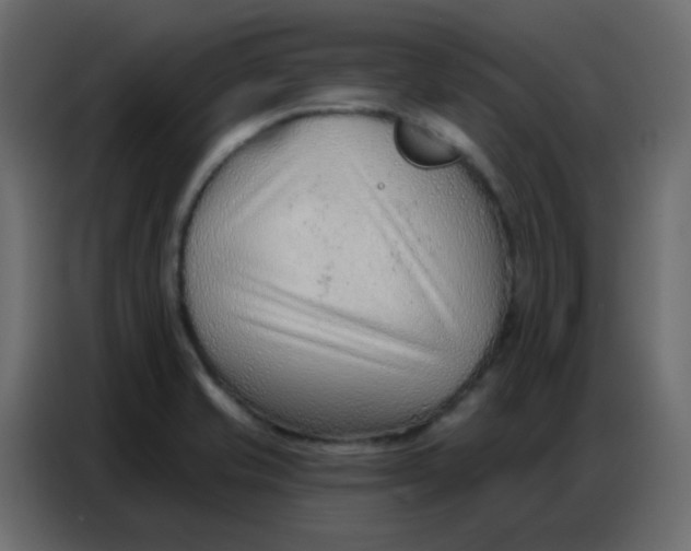 X0000086801421200705041559