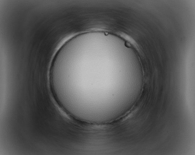 X0000086801423200705041559