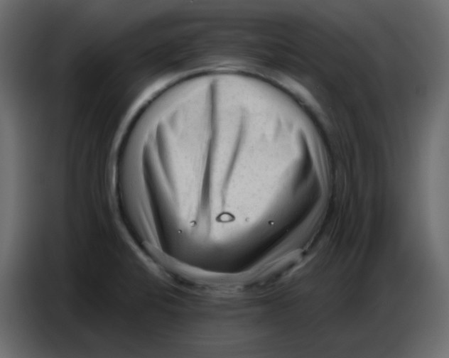 X0000086801424200705041559