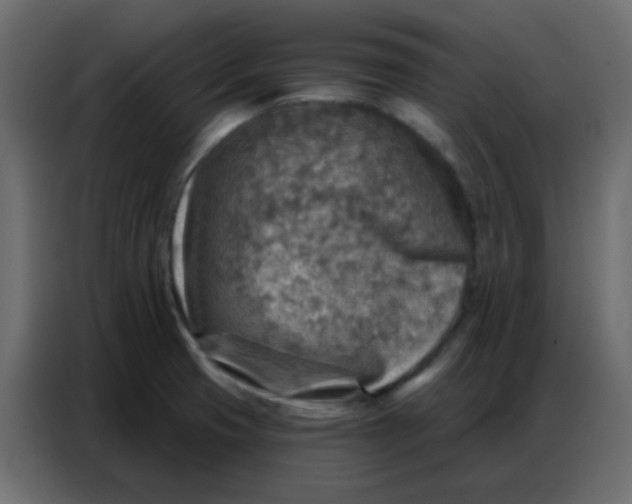 X0000086801425200705041559