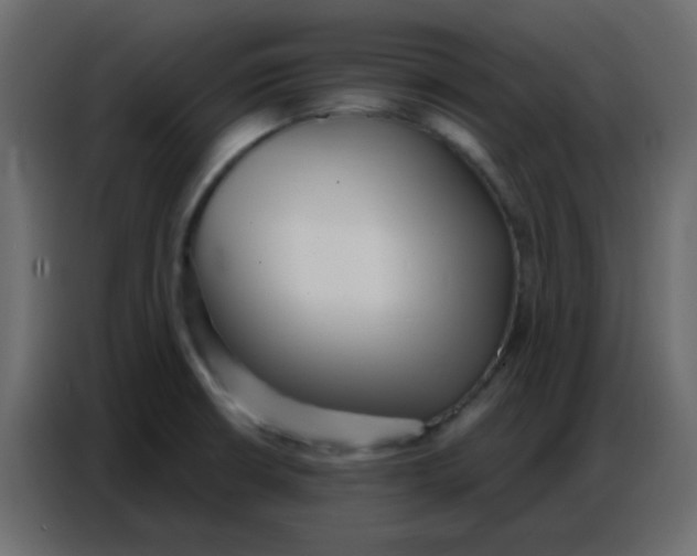 X0000086801426200705041559