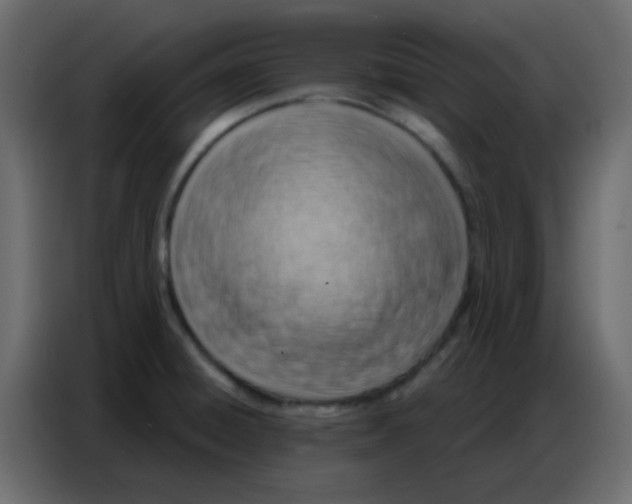 X0000086801428200705041559