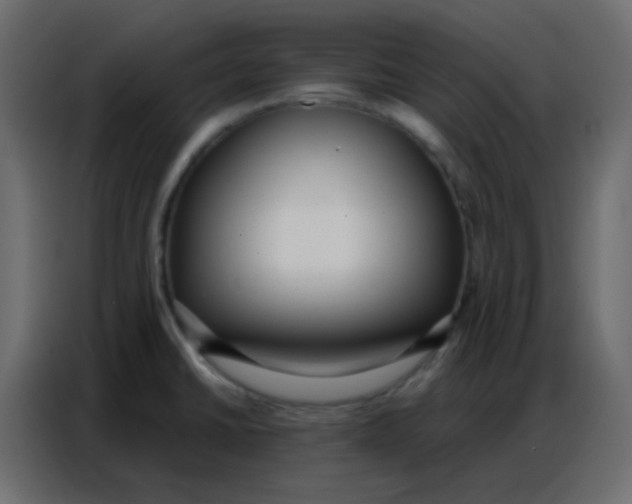 X0000086801430200705041559