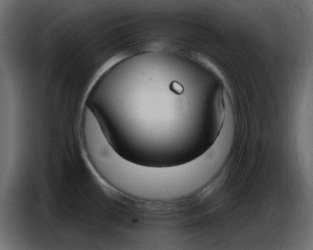 X0000086801434200705041559