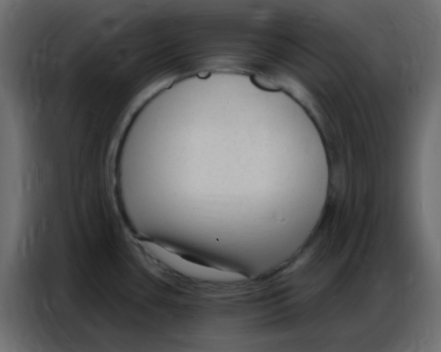 X0000086801435200705041559