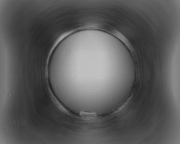 X0000086801436200705041559