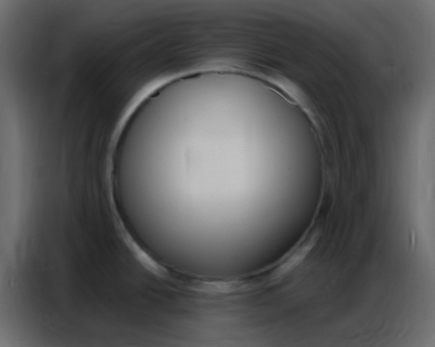 X0000086801438200705041559