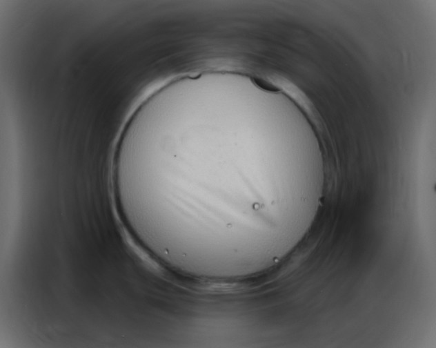 X0000086801439200705041559