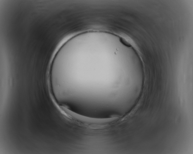 X0000086801440200705041559