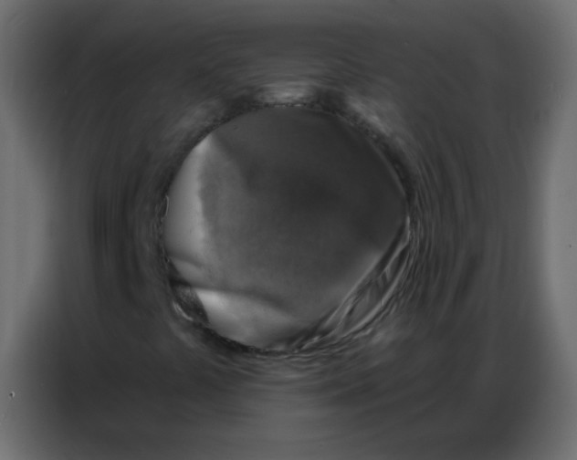 X0000086801441200705041559