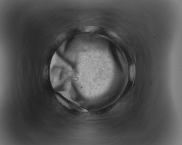 X0000086801443200705041559