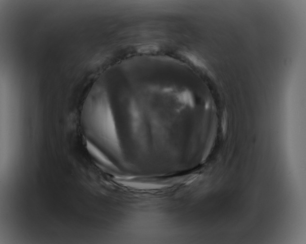 X0000086801445200705041559