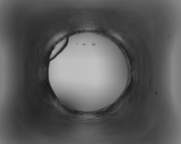 X0000086801448200705041559