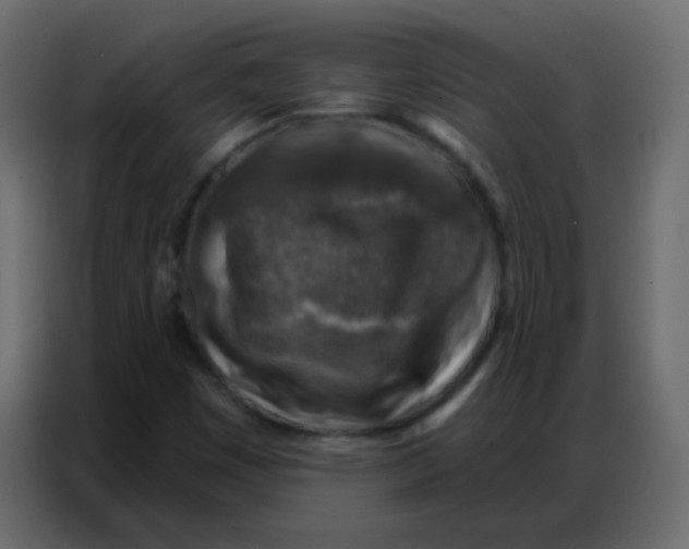 X0000086801449200705041559