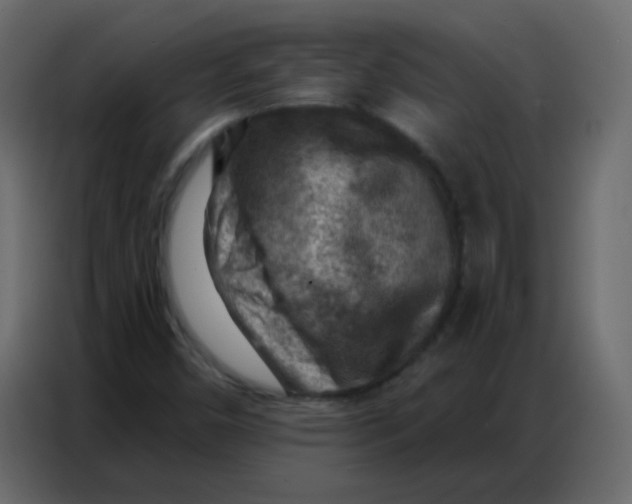 X0000086801450200705041559