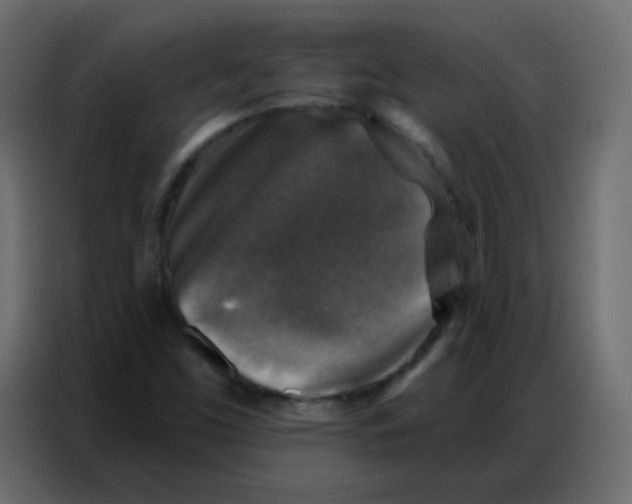 X0000086801453200705041559