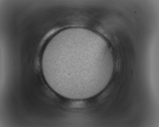 X0000086801454200705041559