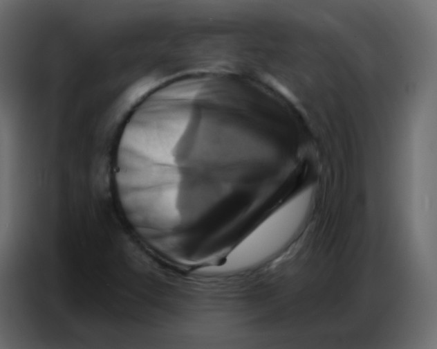 X0000086801455200705041559