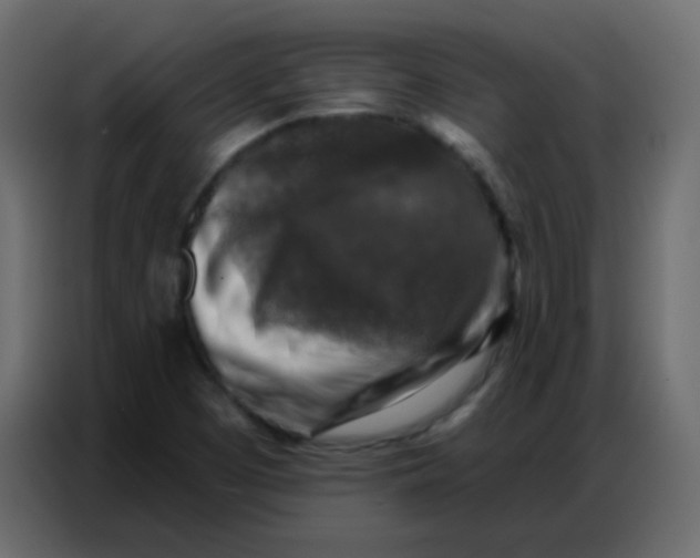 X0000086801457200705041559