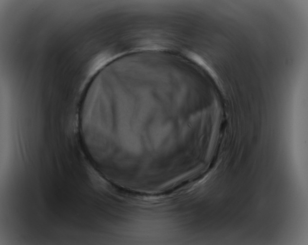 X0000086801459200705041559