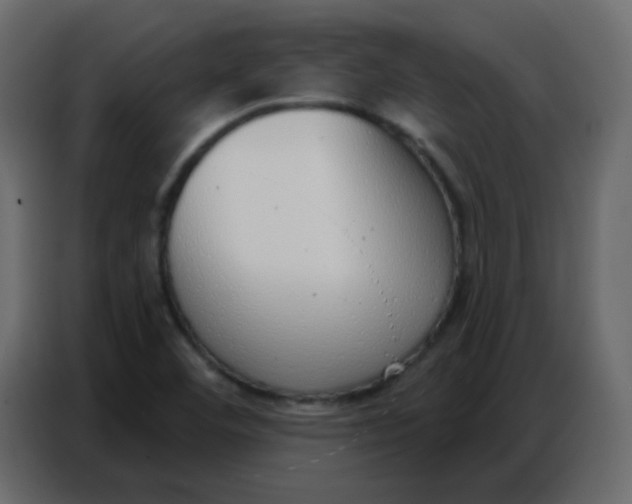 X0000086801460200705041559