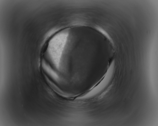 X0000086801461200705041558