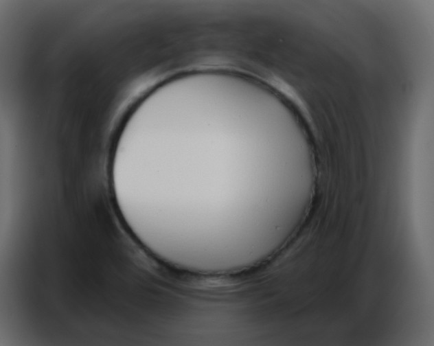 X0000086801464200705041558