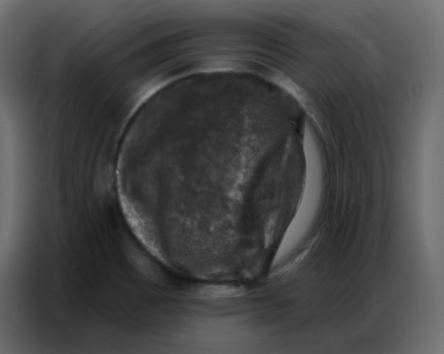 X0000086801465200705041558