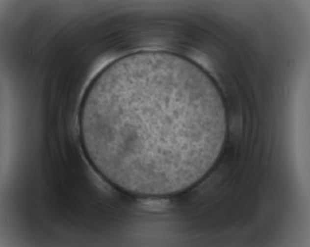 X0000086801466200705041558