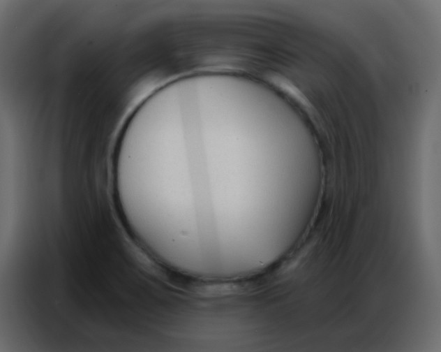 X0000086801467200705041558