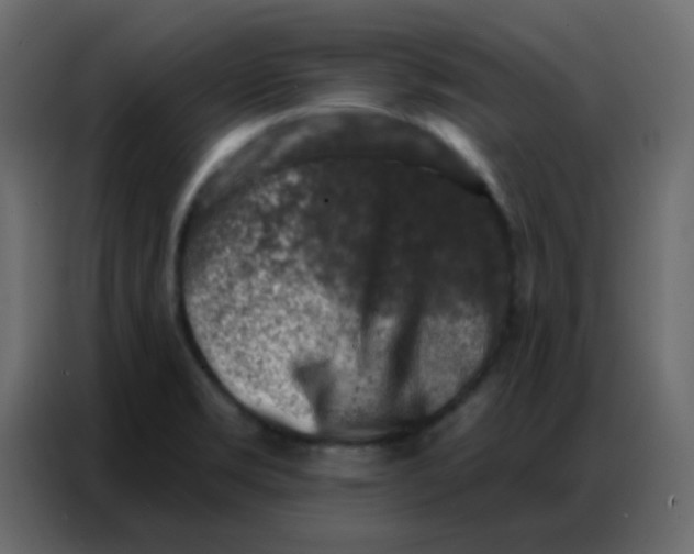 X0000086801469200705041558