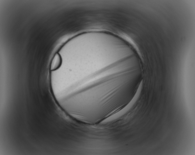 X0000086801472200705041558