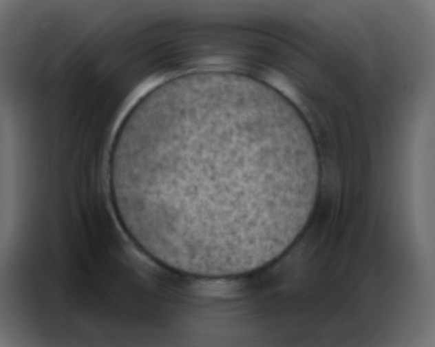 X0000086801474200705041558