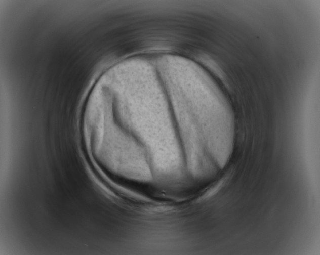 X0000086801475200705041558