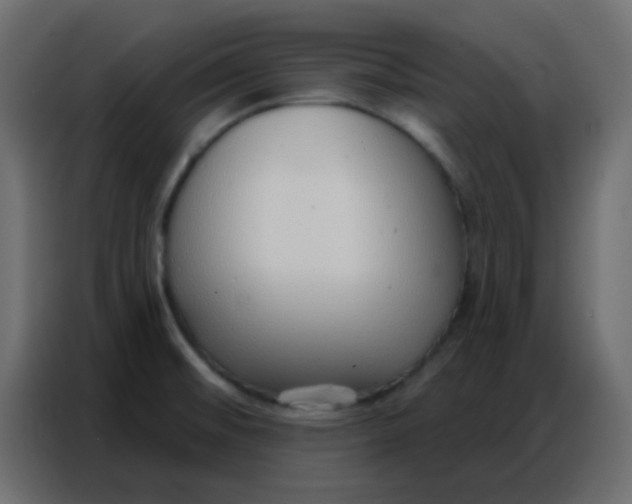 X0000086801476200705041558