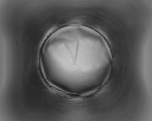 X0000086801477200705041558