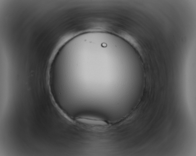 X0000086801480200705041558