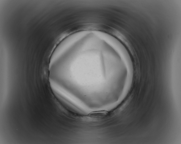 X0000086801481200705041558