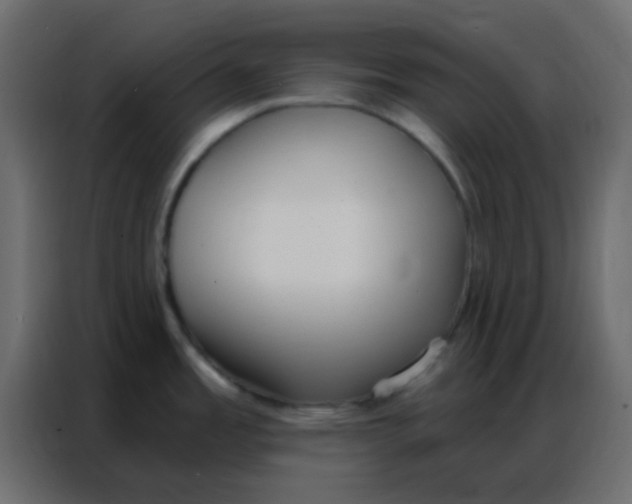 X0000086801485200705041558