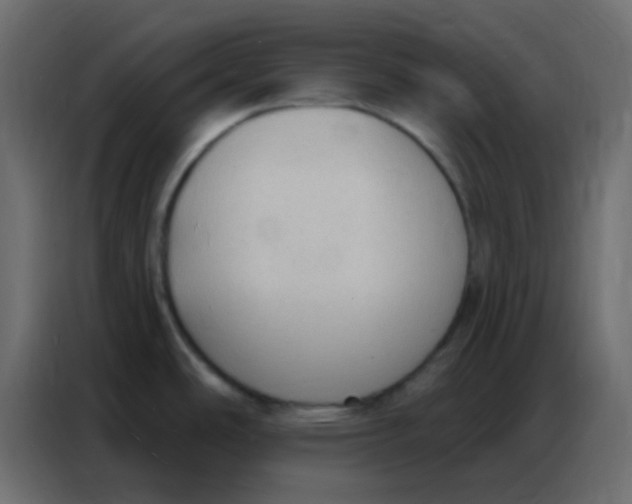 X0000086801486200705041558