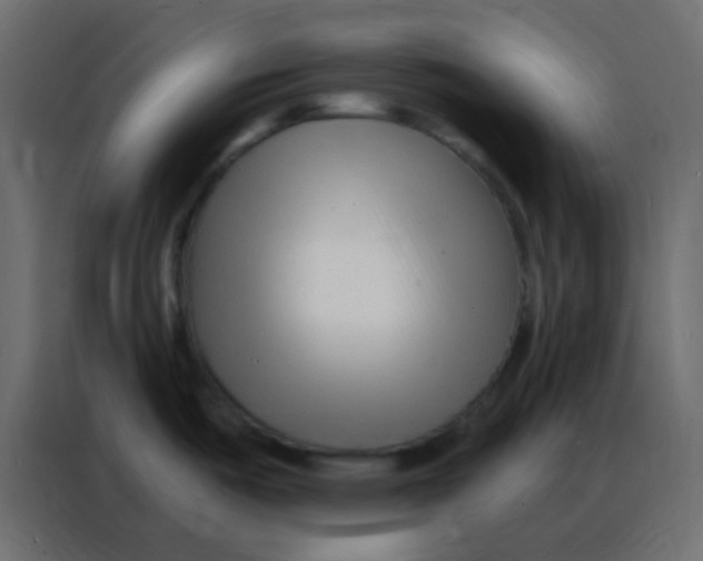 X0000086801487200705041558