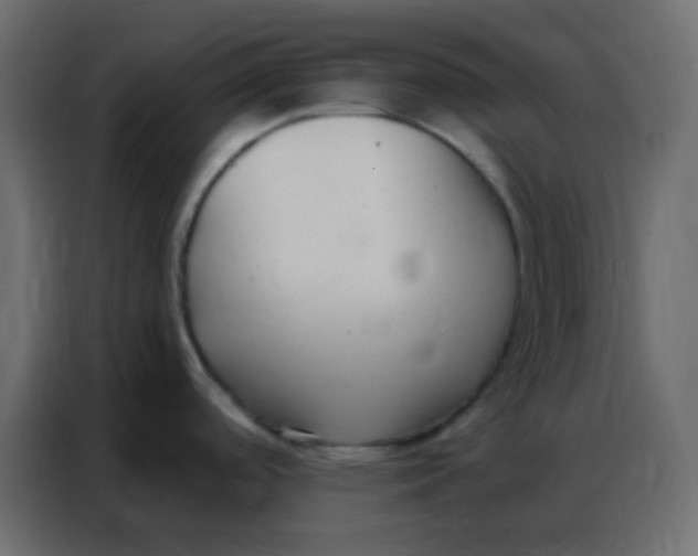 X0000086801488200705041558