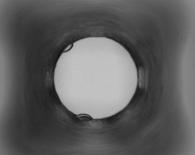 X0000086801491200705041558