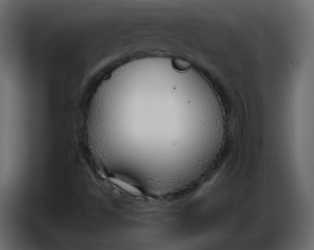 X0000086801494200705041558