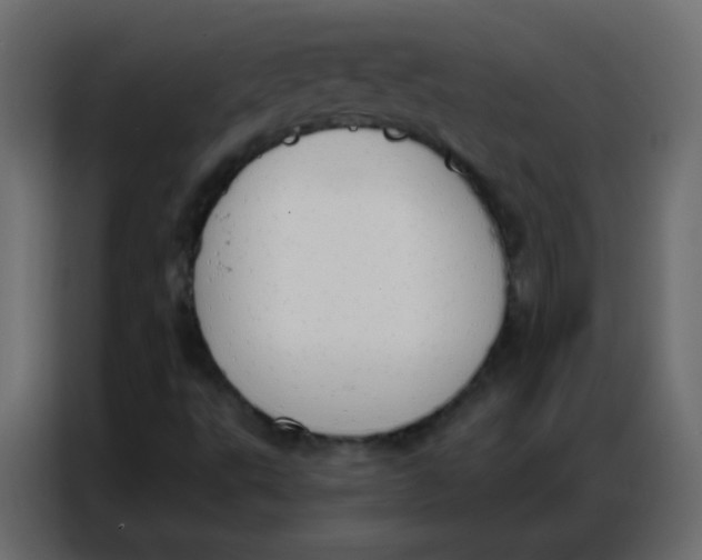 X0000086801495200705041558